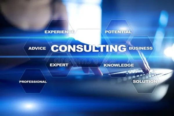 Website Design Consultancy